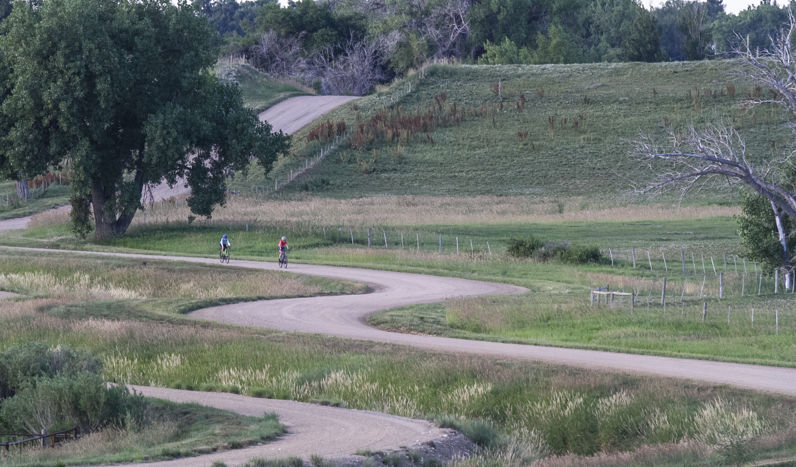 July – August Pause at C4C